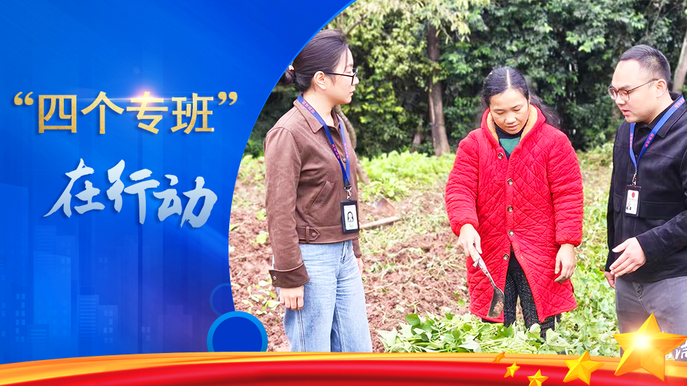 �ĸ�ר��ح�ලִ�� һ�߹��£�����������ʱ����è��